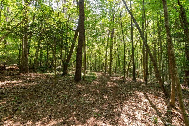 7004 Mountain View Rd, Taylors, SC 29687 - photo 11