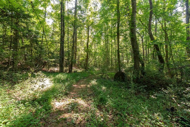 7004 Mountain View Rd, Taylors, SC 29687 - photo 12