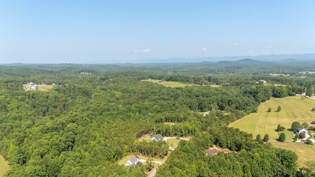 7004 Mountain View Rd, Taylors, SC 29687 - photo 19