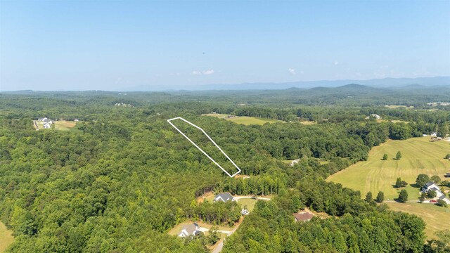 7004 Mountain View Rd, Taylors, SC 29687 - photo 20