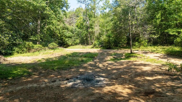 7004 Mountain View Rd, Taylors, SC 29687 - photo 22