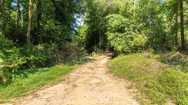 7004 Mountain View Rd, Taylors, SC 29687 - photo 26