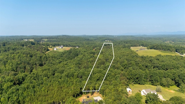 7004 Mountain View Rd, Taylors, SC 29687 - photo 1