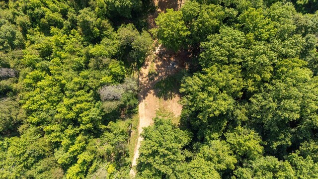 7004 Mountain View Rd, Taylors, SC 29687 - photo 31