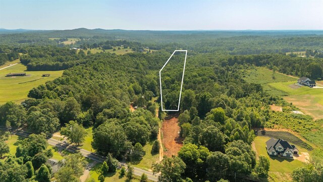 7004 Mountain View Rd, Taylors, SC 29687 - photo 33