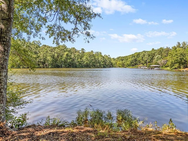 586 N Ruth Walker Rd, Waterloo, SC 29384 - photo 14