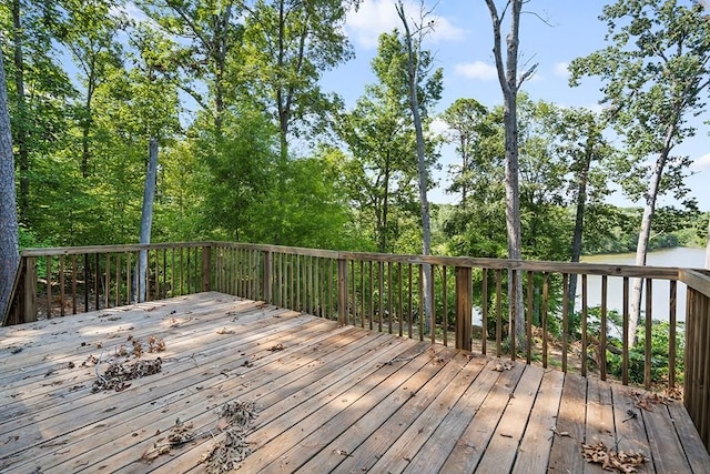 586 N Ruth Walker Rd, Waterloo, SC 29384 - photo 18