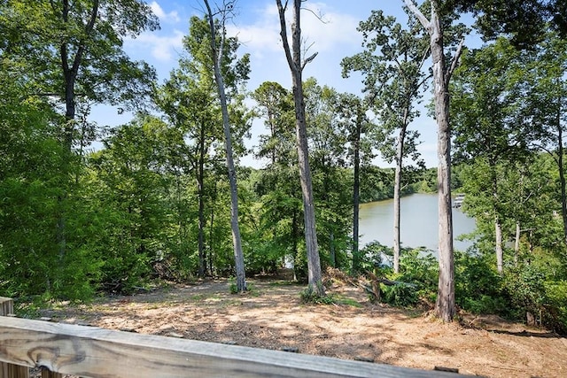 586 N Ruth Walker Rd, Waterloo, SC 29384 - photo 19