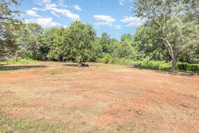 1736 Ezell Rd, Chesnee, SC 29323 - photo 16