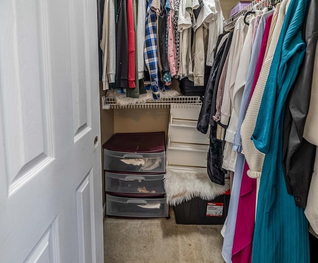521 Signal Hill Ln, Inman, SC 29349 - spacious closet with carpet floors