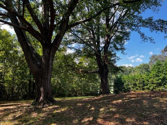 237 Buck Creek Rd, Chesnee, SC 29323 - photo 10