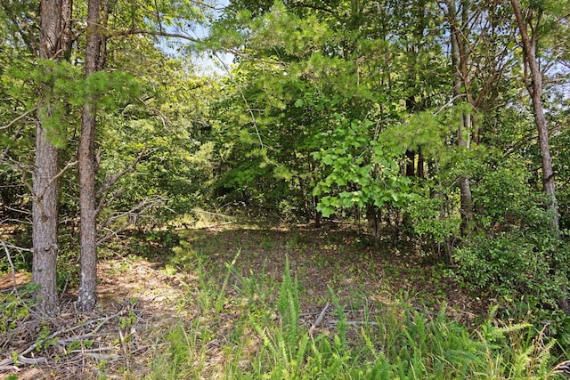 00 Shelton Rd, Travelers Rest, SC 29690 - photo 3
