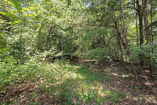 00 Shelton Rd, Travelers Rest, SC 29690 - photo 5