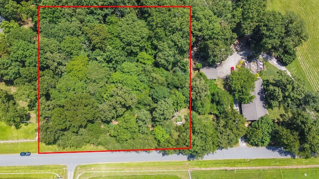 00 Shelton Rd, Travelers Rest, SC 29690 - photo 6