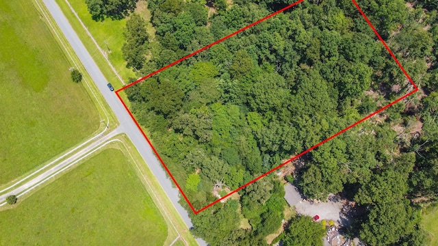 00 Shelton Rd, Travelers Rest, SC 29690 - photo 10