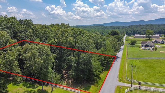 00 Shelton Rd, Travelers Rest, SC 29690 - photo 12