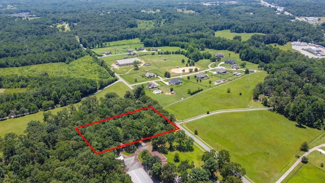 00 Shelton Rd, Travelers Rest, SC 29690 - photo 1