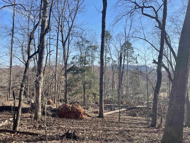 00 Shelton Rd, Travelers Rest, SC 29690 - photo 16