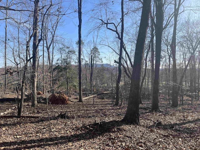 00 Shelton Rd, Travelers Rest, SC 29690 - photo 18