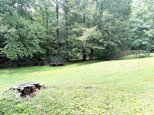 205 Maxie Ave, Greenville, SC 29611 - photo 37
