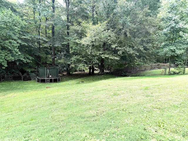 205 Maxie Ave, Greenville, SC 29611 - photo 38