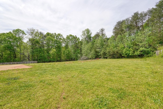 286 Heatherbrook Dr, Lyman, SC 29365 - view of yard
