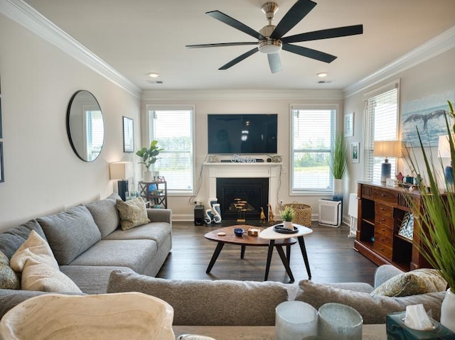 50 Dodd Trl, Greenville, SC 29605 - photo 4