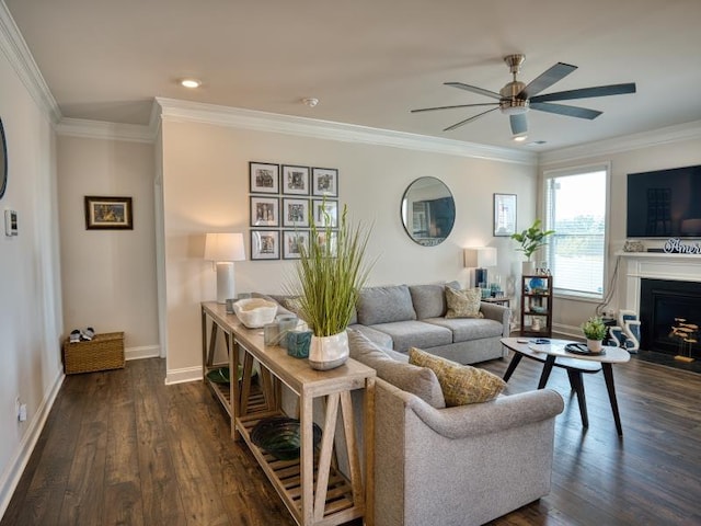 50 Dodd Trl, Greenville, SC 29605 - photo 5