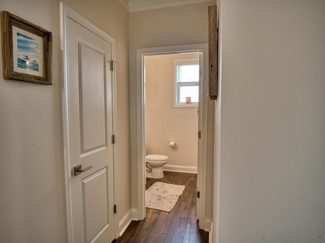 50 Dodd Trl, Greenville, SC 29605 - photo 8