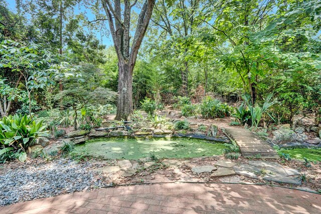119 Cornfield Rd, Inman, SC 29349 - photo 37