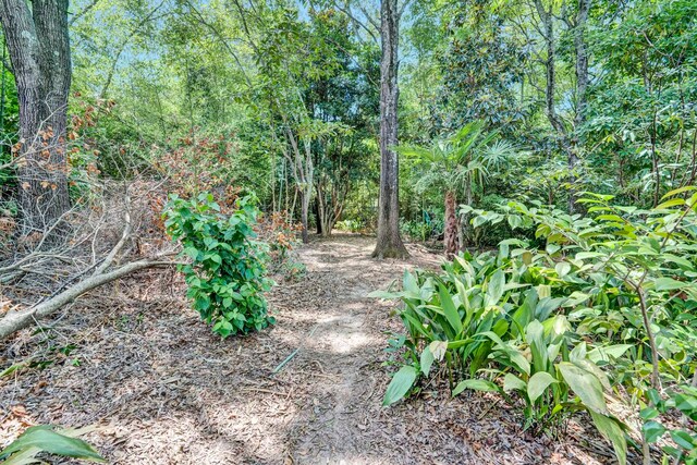 119 Cornfield Rd, Inman, SC 29349 - photo 39