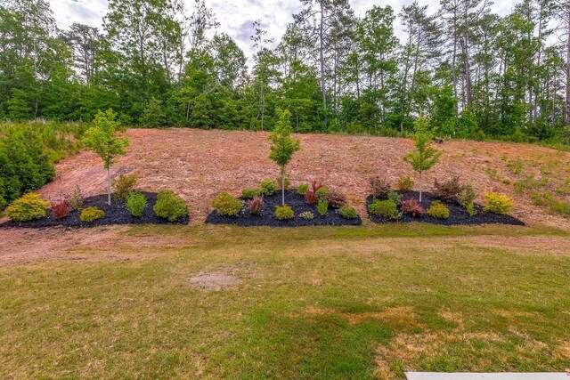 144 Bellecrest Ln, Greenville, SC 29607 - photo 38