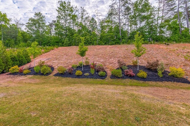 144 Bellecrest Ln, Greenville, SC 29607 - photo 39