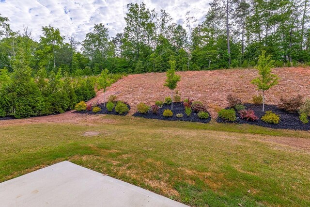 144 Bellecrest Ln, Greenville, SC 29607 - photo 40