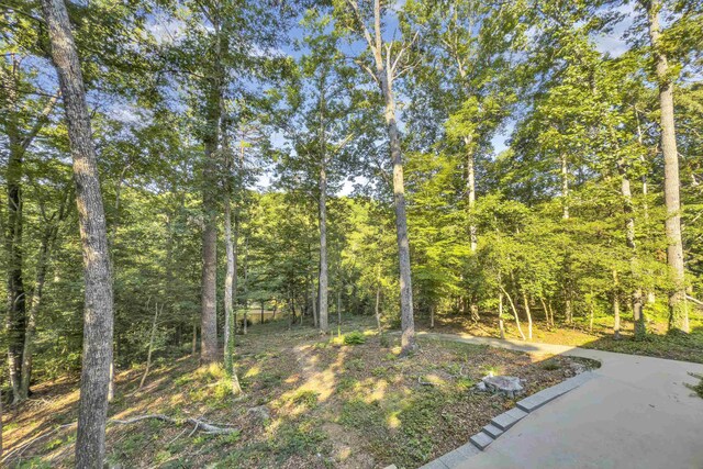 113 Cumberland Dr, Moore, SC 29369 - photo 31