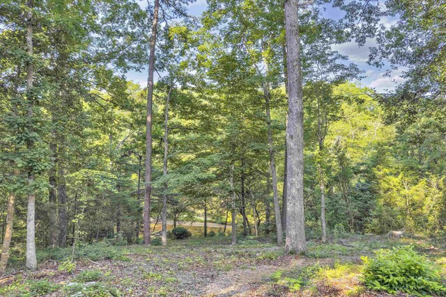 113 Cumberland Dr, Moore, SC 29369 - photo 33