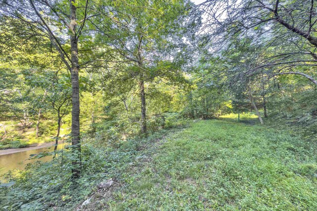 113 Cumberland Dr, Moore, SC 29369 - photo 34