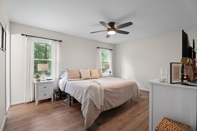 15864 Asheville Hwy, Campobello, SC 29322 - bedroom with wood finished floors and ceiling fan