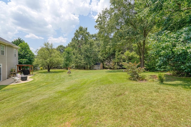 316 Crestview Ln, Spartanburg, SC 29301 - view of grassy yard featuring a patio, a storage unit, and view of scattered trees