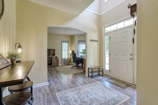 316 Crestview Ln, Spartanburg, SC 29301 - foyer entrance featuring arched walkways, plenty of natural light, and wood finished floors