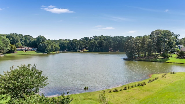 106 Riverbank Ct, Moore, SC 29369 - photo 49