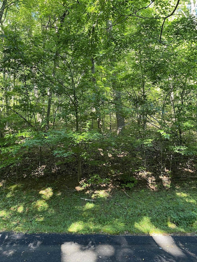 173 Stacked Rock Rd, Landrum, SC 29356