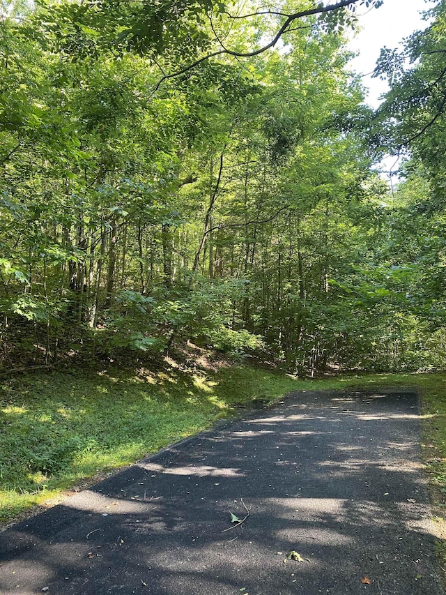 173 Stacked Rock Rd, Landrum, SC 29356