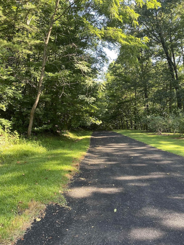 173 Stacked Rock Rd, Landrum, SC 29356