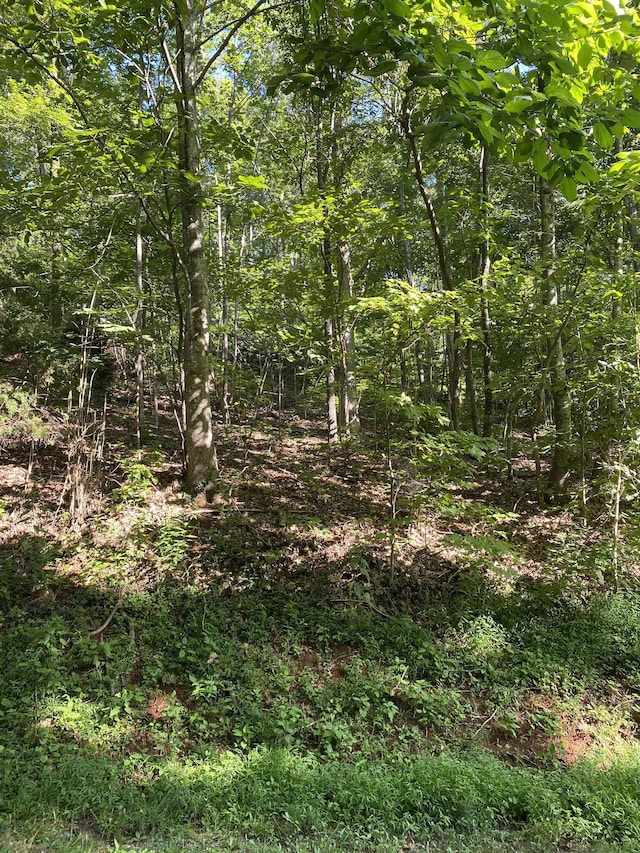 173 Stacked Rock Rd, Landrum, SC 29356