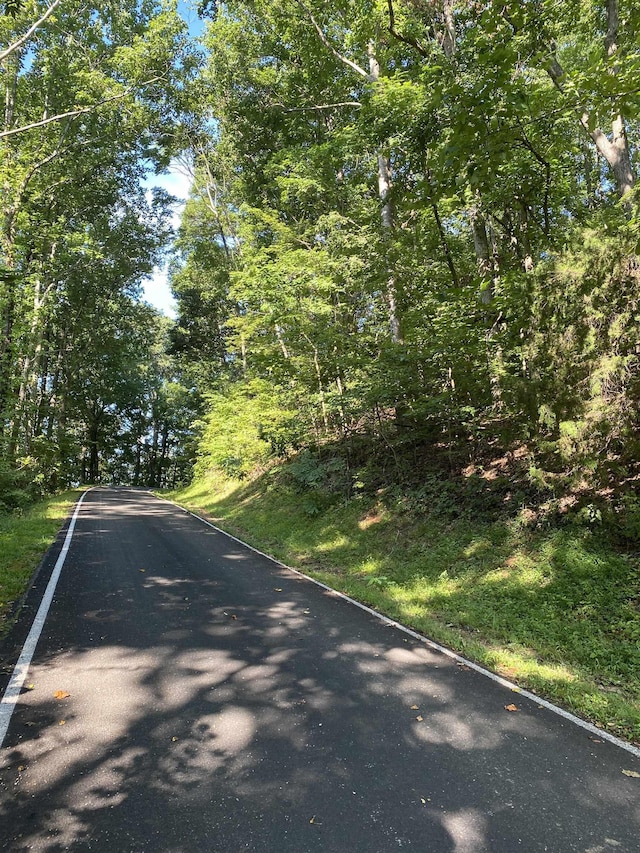 173 Stacked Rock Rd, Landrum, SC 29356