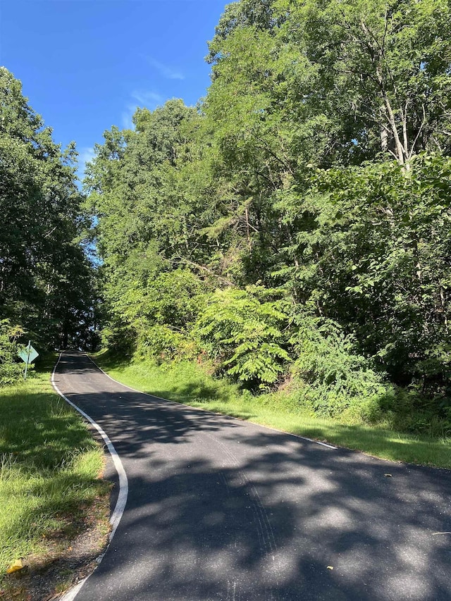 173 Stacked Rock Rd, Landrum, SC 29356
