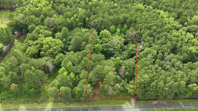 625 W Ralph Lane Rd, Timmonsville, SC 29161 - photo 1