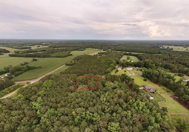 625 W Ralph Lane Rd, Timmonsville, SC 29161 - photo 4