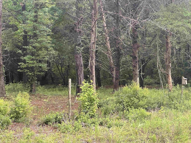 625 W Ralph Lane Rd, Timmonsville, SC 29161 - photo 7